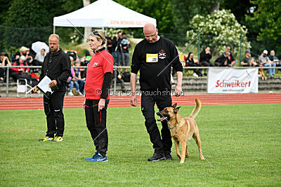 Cave Canem Odin vom Mittelpunkt