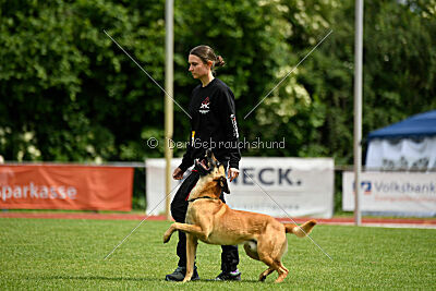 Cayar von der schwarzen Mamba