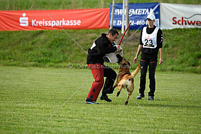 Cayar von der schwarzen Mamba