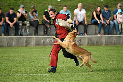 Cayar von der schwarzen Mamba