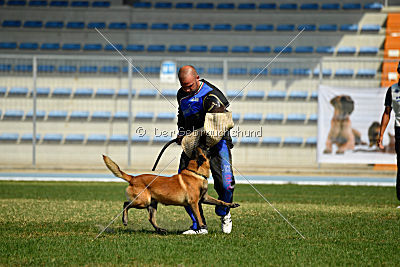 Cecil Betkin Dvor