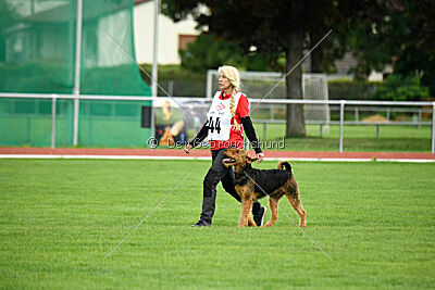 Cedrik vom Roten Milan