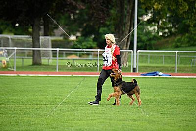 Cedrik vom Roten Milan