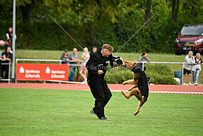 Cedrik vom Roten Milan