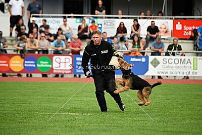 Cedrik vom Roten Milan