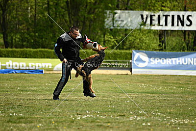 Cedrik vom Roten Milan