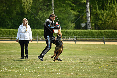 Cedrik vom Roten Milan