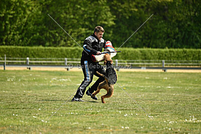 Cedrik vom Roten Milan