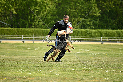 Cedrik vom Roten Milan