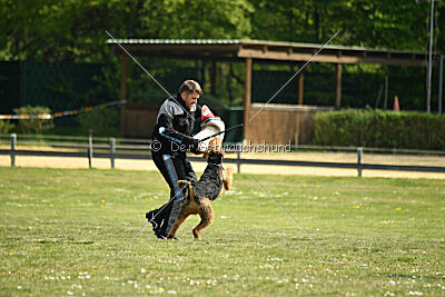 Cedrik vom Roten Milan