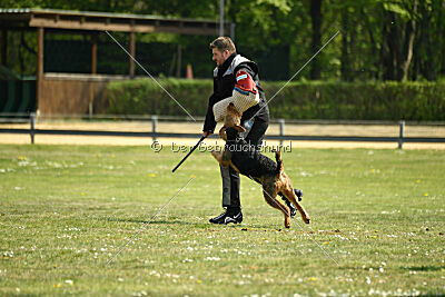 Cedrik vom Roten Milan