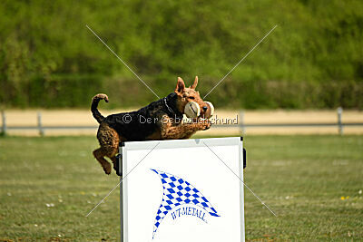 Cedrik vom Roten Milan