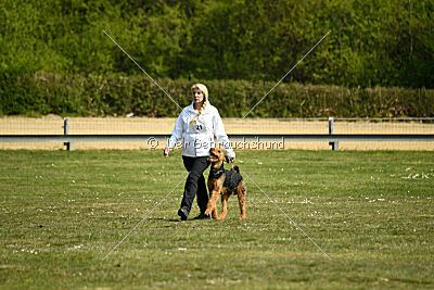 Cedrik vom Roten Milan