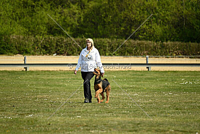 Cedrik vom Roten Milan