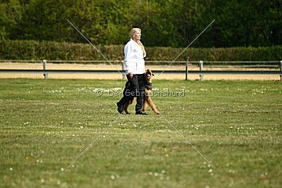 Cedrik vom Roten Milan