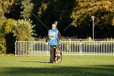 Cerina vom Herzogtum Braunschweig