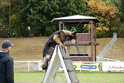 Cetan vom Bachsteinhaus