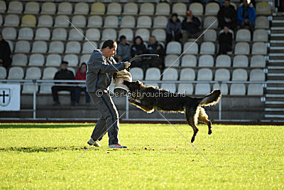 Cetan vom Bachsteinhaus