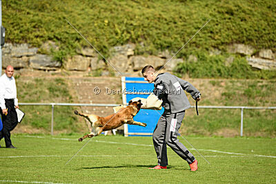 Chako vom Break Even Point