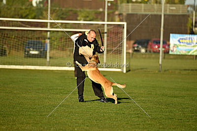 Chako vom Break Even Point