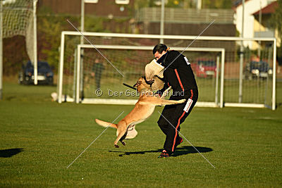 Chako vom Break Even Point