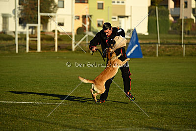 Chako vom Break Even Point