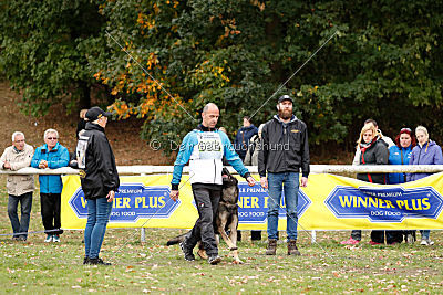 Champ vom Lupus Alpha