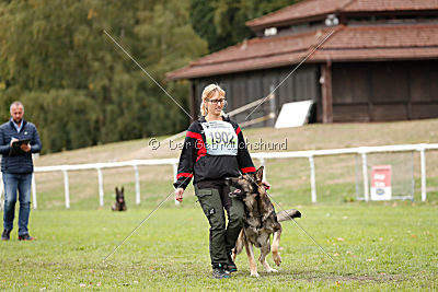 Champ vom Rischebachtal