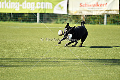 Champion von Neo Karthago