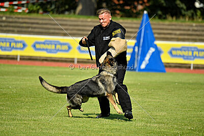 Chapa vom Drachenwolf