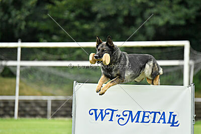 Chapa vom Drachenwolf