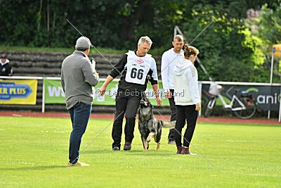 Chapa vom Drachenwolf