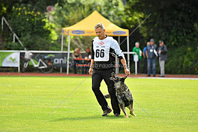 Chapa vom Drachenwolf