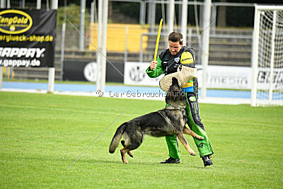 Chapa vom Drachenwolf