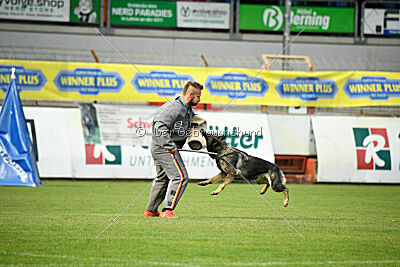 Chapa vom Drachenwolf