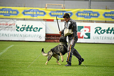 Chapa vom Drachenwolf