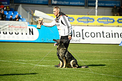 Chapa vom Drachenwolf