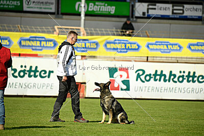 Chapa vom Drachenwolf