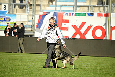 Chapa vom Drachenwolf