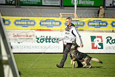 Chapa vom Drachenwolf