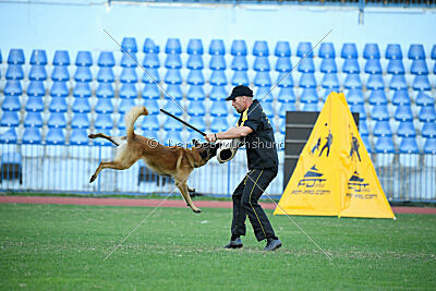 Charm z Údolí Jizery