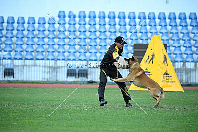 Charm z Údolí Jizery