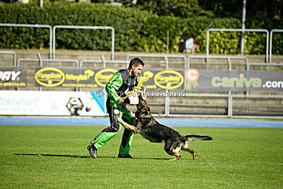 Chase von der Löwenstadt