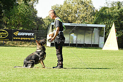 Chase von der Löwenstadt