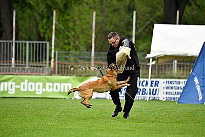 Chelsea von den Mecklenburger Rüpeln