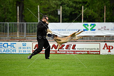 Chelsea von den Mecklenburger Rüpeln