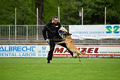 Chelsea von den Mecklenburger Rüpeln