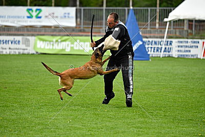 Chelsea von den Mecklenburger Rüpeln