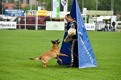Chelsea von den Mecklenburger Rüpeln