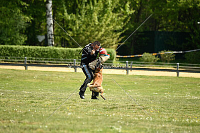 Cheng von Malihatten